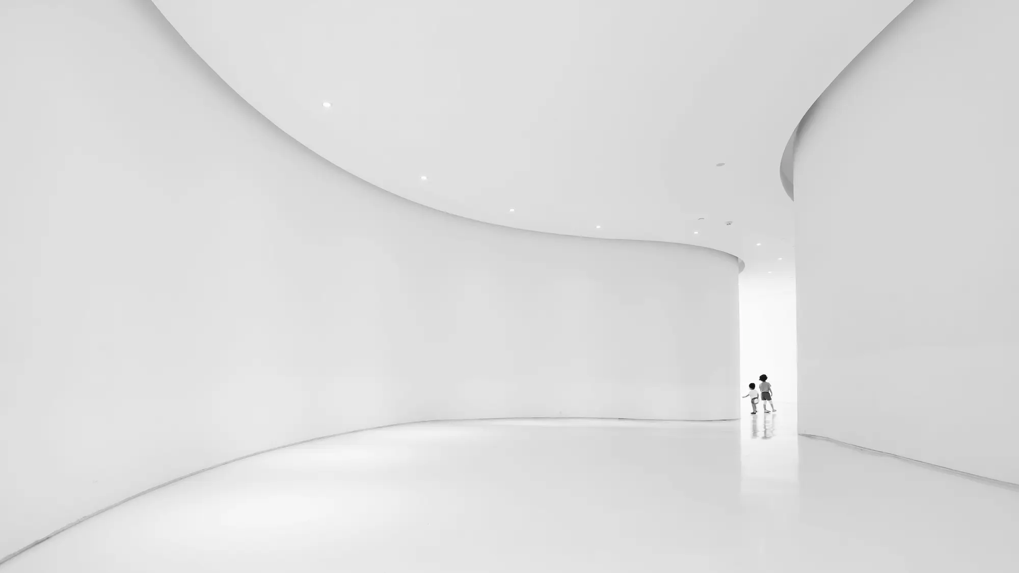 Cover image of Images
